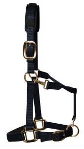 KM Elite Padded Headcollar